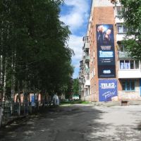 Birches near Nogradsky street., Таштагол