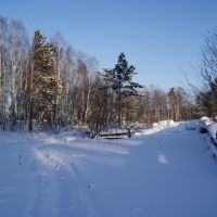 зима в деревени (утро), Тисуль