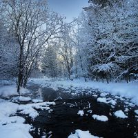 Морозный ручей в лесу за околицей, Кирс