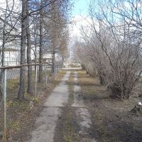 Spring grief - Footpath near school, Опарино