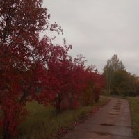 Осенняя тропа, Фаленки