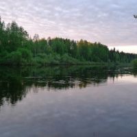 Белые ночи на реке Весляна :: The white nights on the river Vesljana, Вожаель