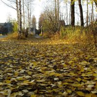 Осенняя листва, Печора