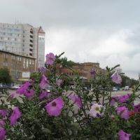 Клумба у пединститута, Сыктывкар