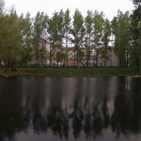 Пруд у 2-й школы, Волгореченск