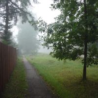 Утренний туман, Чухлома