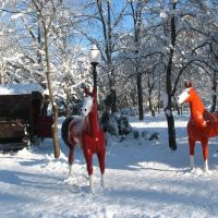 Гор-парк, карета и лошади, 08.01.2009., Белореченск