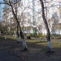 Internazionalaya Street - Belorechensk - Another view, Белореченск