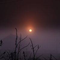 туман, Кореновск