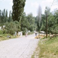 ул.Калинина.1990г., Мостовской