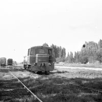 Станция.1981г., Мостовской