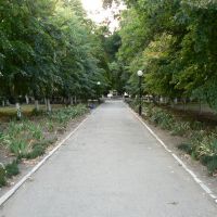 Дорожка в сквере Ленина, Приморско-Ахтарск