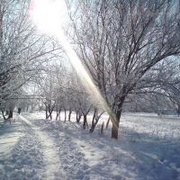 Зима, Староминская