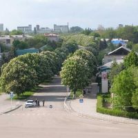 Вид на ул.Первомайскую из Дворца Культуры, Тбилисская