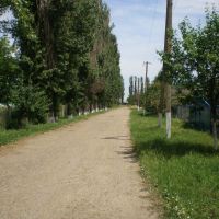 Дорога вдоль школы, Тбилисская