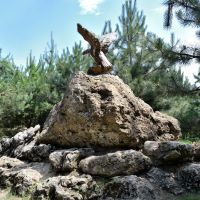 Птица какая-то / The stone bird, Усть-Лабинск