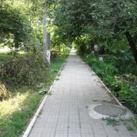Зелёная дорожка, Усть-Лабинск
