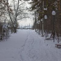 Грустный зимний парк, Большая Мурта