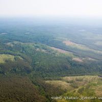 Вырубки леса, Кежма