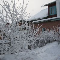 Зимний сад, Курагино