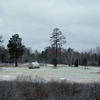 First snow, Пировское