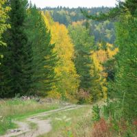 Осенний лес, Пировское