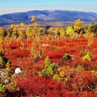 Осенние краски Енашимского Полкана ( The fall colors of Enashimskiy Polkan), Северо-Енисейский