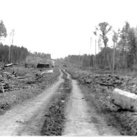 Дорога на въезде в Кодинск (1978 год), Кодинск
