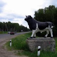 Памятник быку производителю за  Курганом, Глядянское