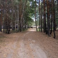 дорожка к особняку в лесу, Кетово
