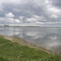 озеро Нифанское, Щучье