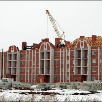 Архитектурные излишества в процессе постройки, Щучье