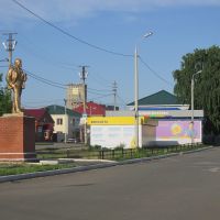 площадь Победы, Щучье