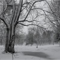 В парке зимой, Глушково