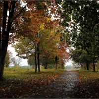 Осень в Глушковском парке. После дождя, Глушково