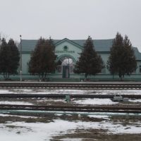 railway station, Дмитриев-Льговский