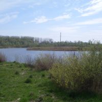 Lake "barge", Дмитриев-Льговский