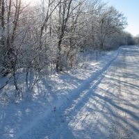 Зимняя дорожка Январь 2011, Конышевка