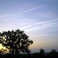 Oak tree @ sunrise, Курск