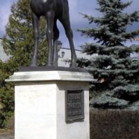 Horse statue, Курск