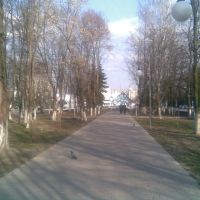 Аллея, на проспекте Комунистическом - г.Курчатов - (вид на площадь И.В. Курчатова), Курчатов