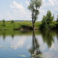 river Seijm, Льгов