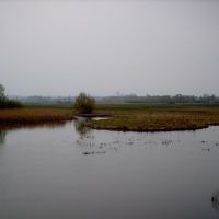 Разлив реки Суджа, Суджа