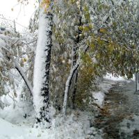 ул.Ленина первый снег октябрь 2010г. 2, Тим