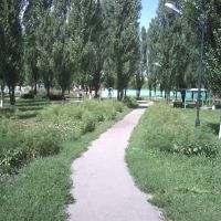 Парк с тополями / Park with poplars, Грязи