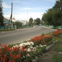 клумба / flowerbed, Грязи