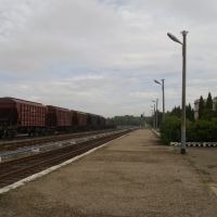 Станция Данков, Данхов