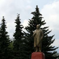Ленин на главной площади, Долгоруково