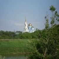 Вид на монастырь с другого берега, Задонск