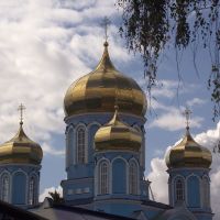 Золотые купола, Задонск